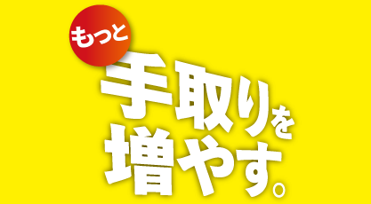 国民民主党 手取りを増やす政策